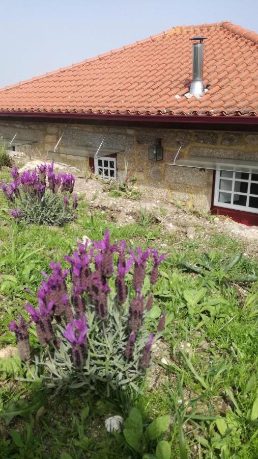 Casa Do Rancho - Turismo Rural Paranhos エクステリア 写真